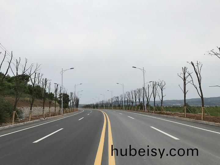 中文字幕无码爆乳视频99