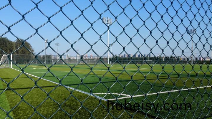 啪一啪鲁一鲁2019在线视频