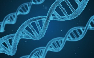 跑狗图www高清跑图资料_精选解释落实将深度解析_网页版v279.576