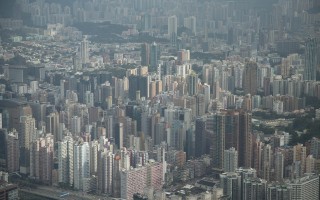 深入企业调研电商经营发展，探索数字时代的商业转型
