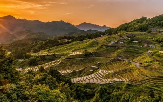 乡村振兴新动力，新型农村电商经营主题标语