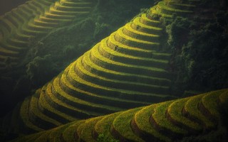 广西龙胜梯田电商模式，传统农业与现代科技的融合