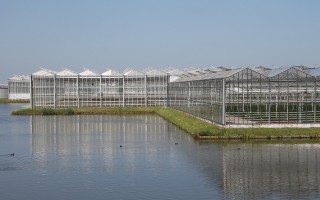 成县模式电商，创新驱动下的农村电商发展之路