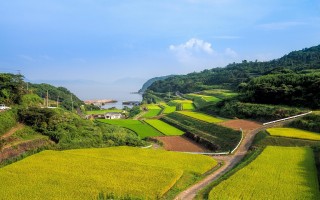 构建农村电商经营制度，助力乡村振兴