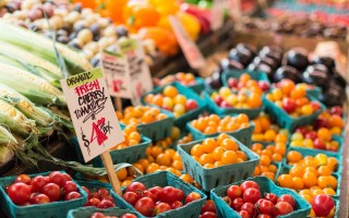 电商食品经营许可证办理网上申请_距离精选答案落实_快爆app786.375