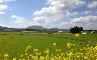 吴忠市农村电商运营，推动乡村振兴的新引擎