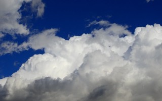 二四六天天彩免费资料大全最新_放松心情的绝佳选择_iPhone版v05.84.64