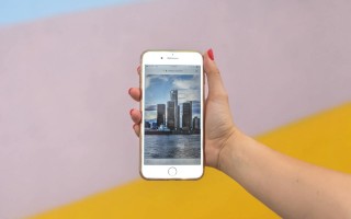 二四六天天彩资料大全凤凰_精选解释落实将深度解析_iPhone版v61.56.11