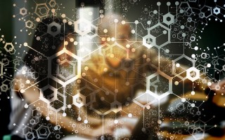一肖一码免费,公开_最新答案解释落实_手机版637.722