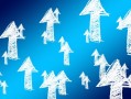 电商诚信经营许可证2021，构建信任的桥梁