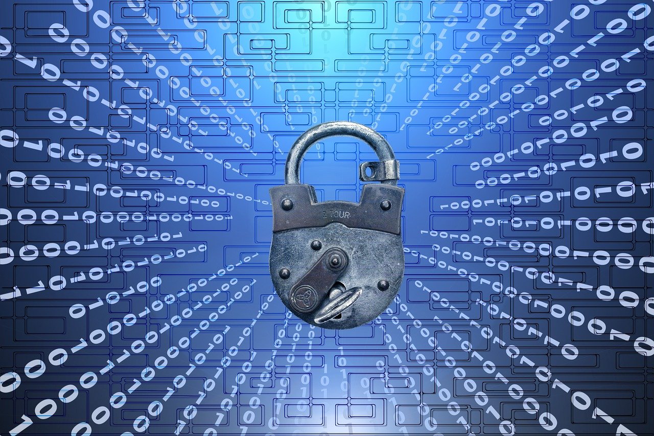 2025澳门今期开奖结果_最佳选择_实用版648.225-第3张图片-鸿庞网