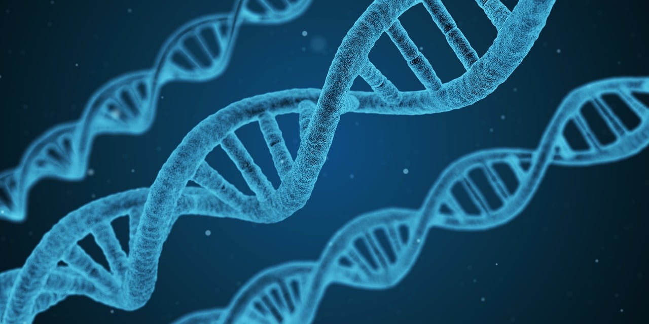 2025年新澳精准资料免费大全_精选解释落实将深度解析_GM版v26.02.32-第1张图片-鸿庞网