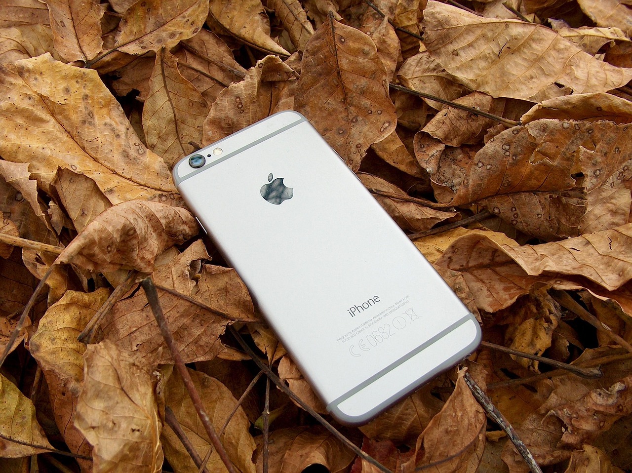 2025资料免费大全_详细解答解释落实_iPhone版v37.50.39-第3张图片-鸿庞网
