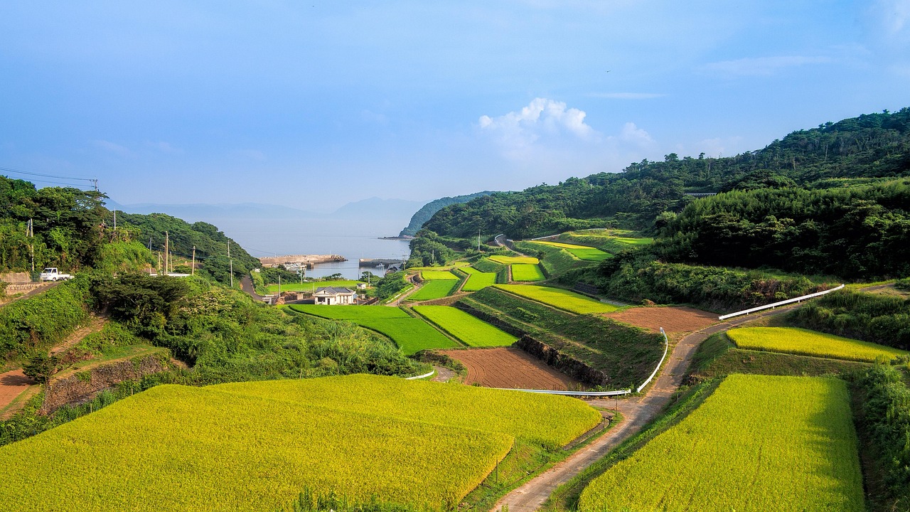 黄石跨境电商平台，引领区域电商新浪潮-第3张图片-鸿庞网